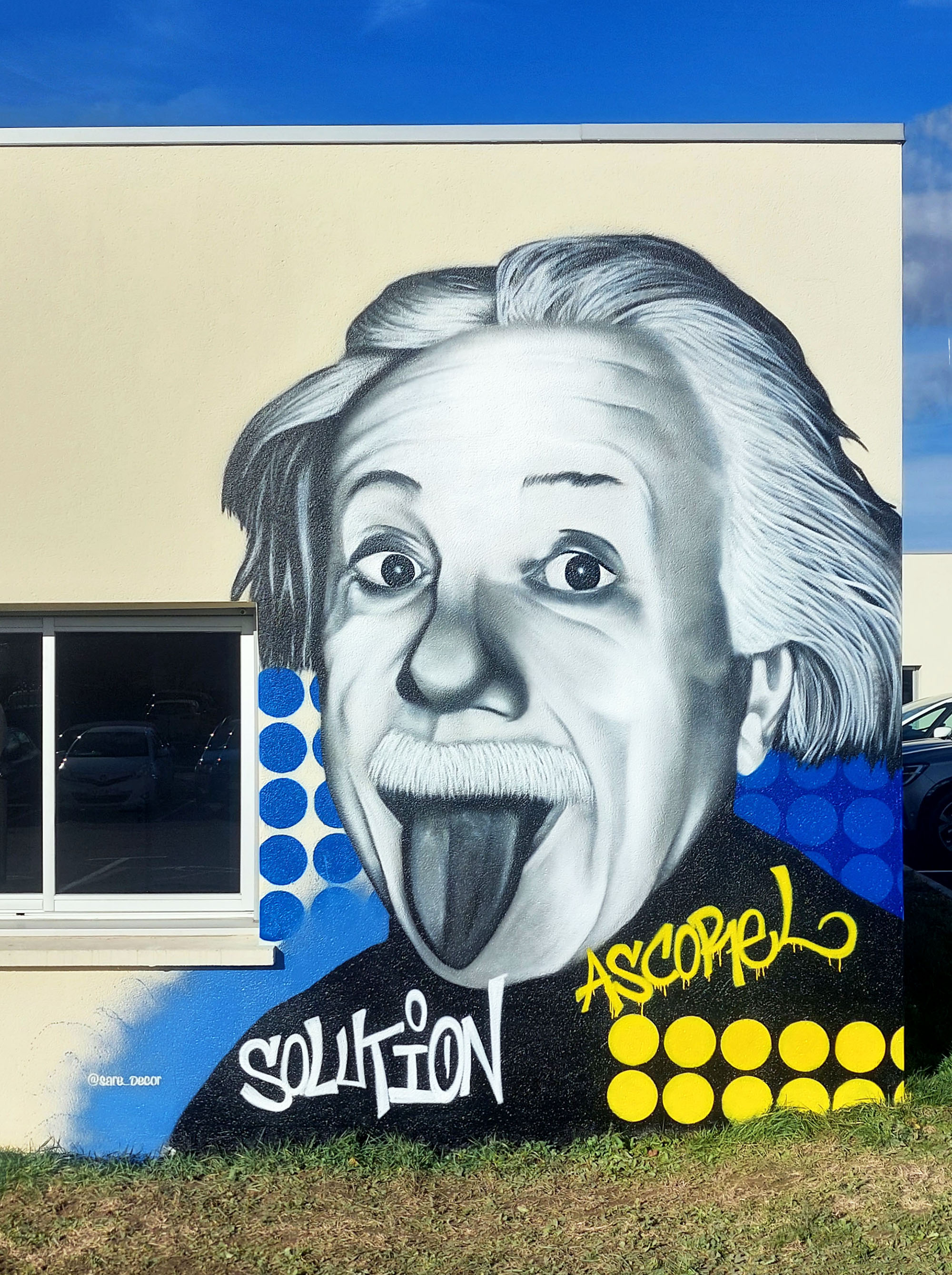 Sare-Decor-Albert-Einstein-5