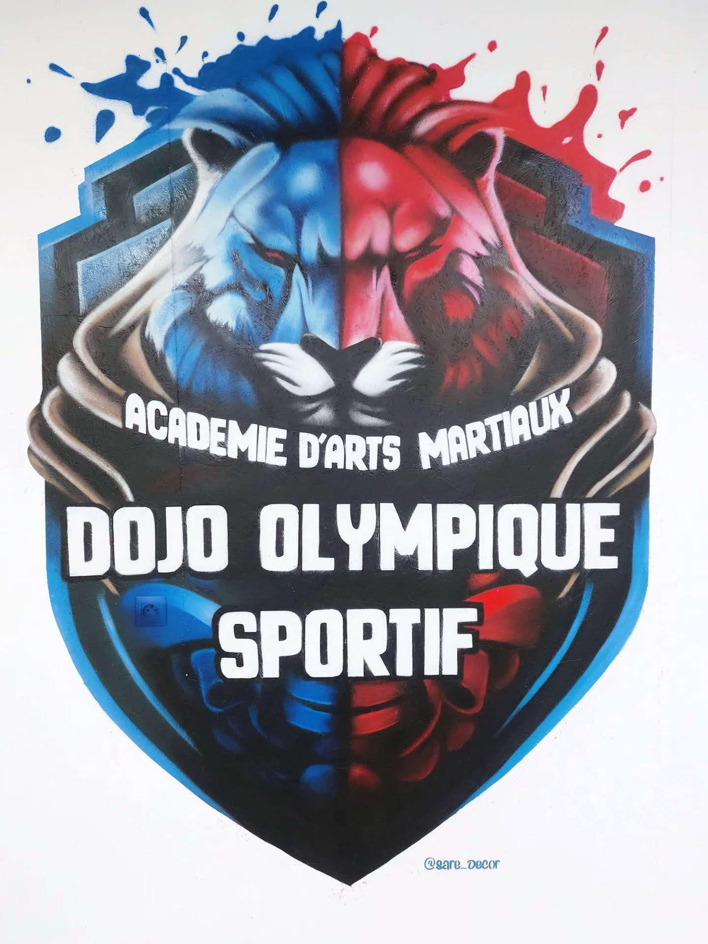 Académie d'arts martiaux - Dojo olympique sportif
