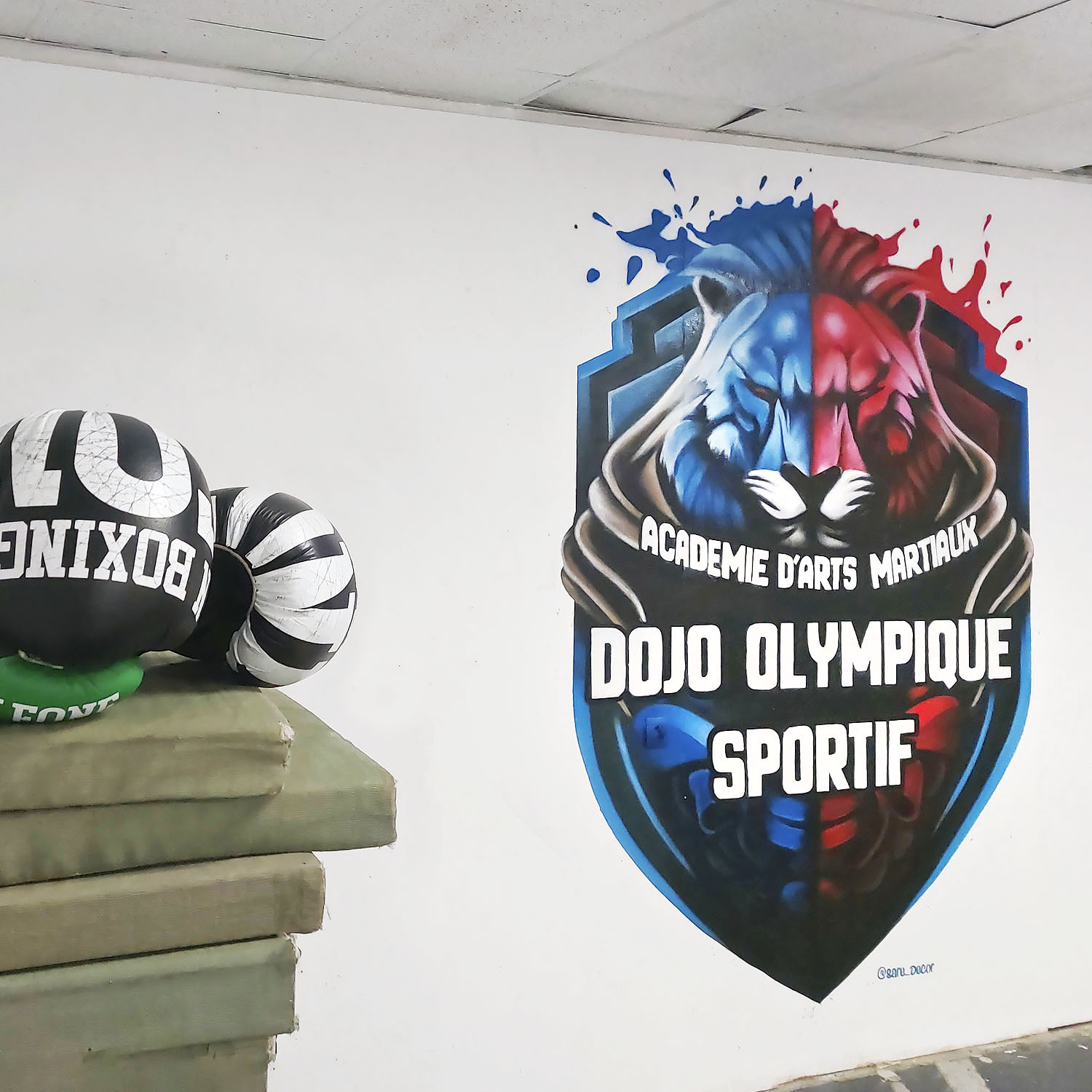 Dojo Olympique sportif